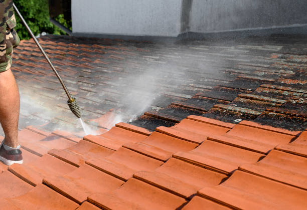 Best Roof Pressure Washing  in USA